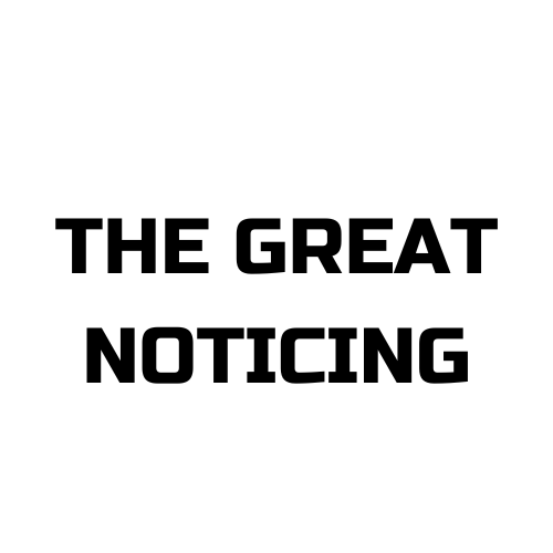 The Great Noticing T Shirt